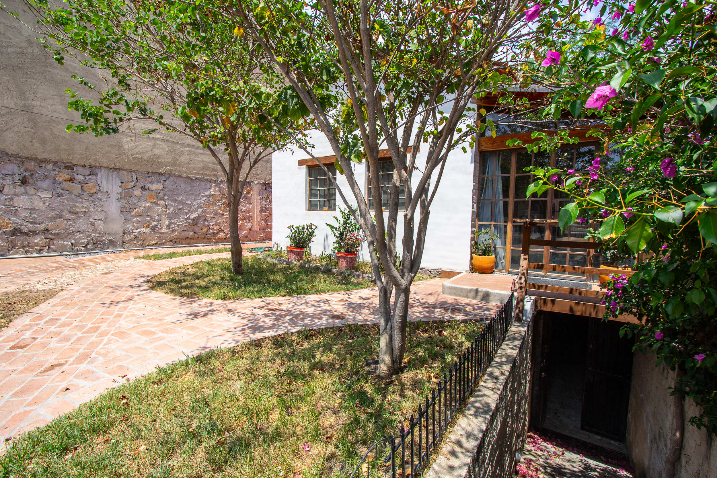 House of the Hummingbirds photo 6