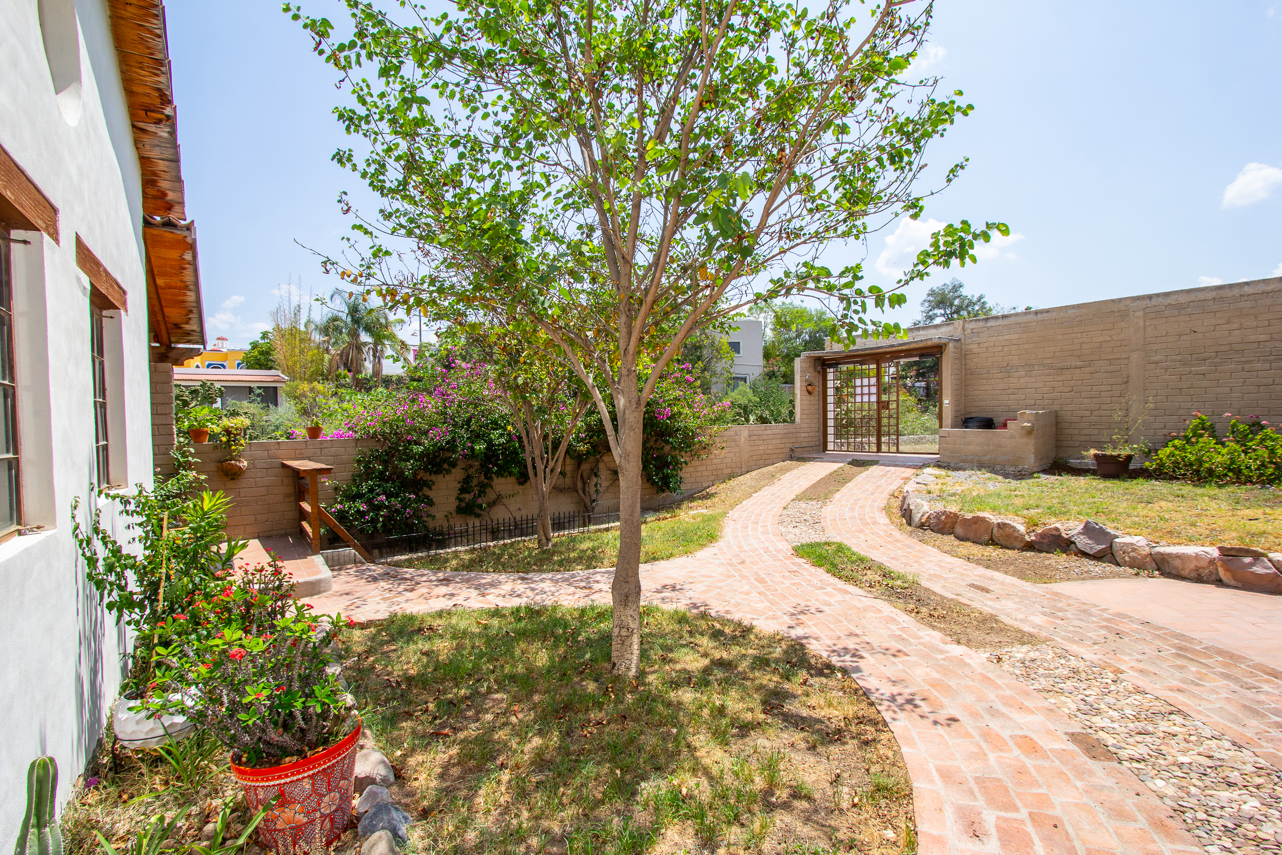 House of the Hummingbirds photo 10