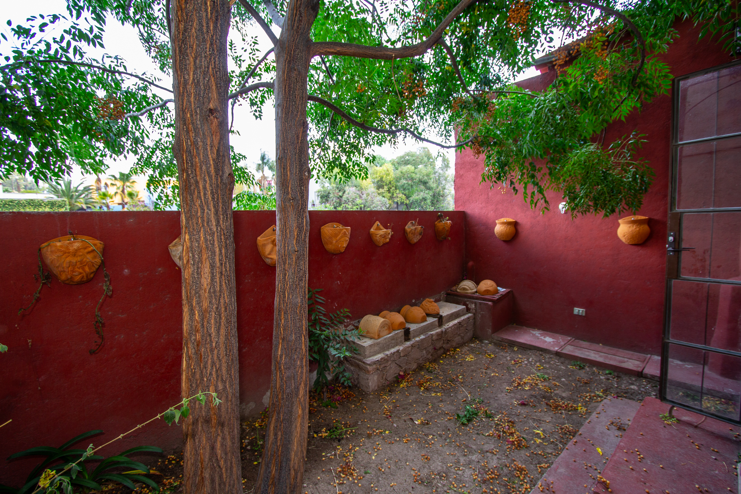 House of the Hummingbirds photo 35