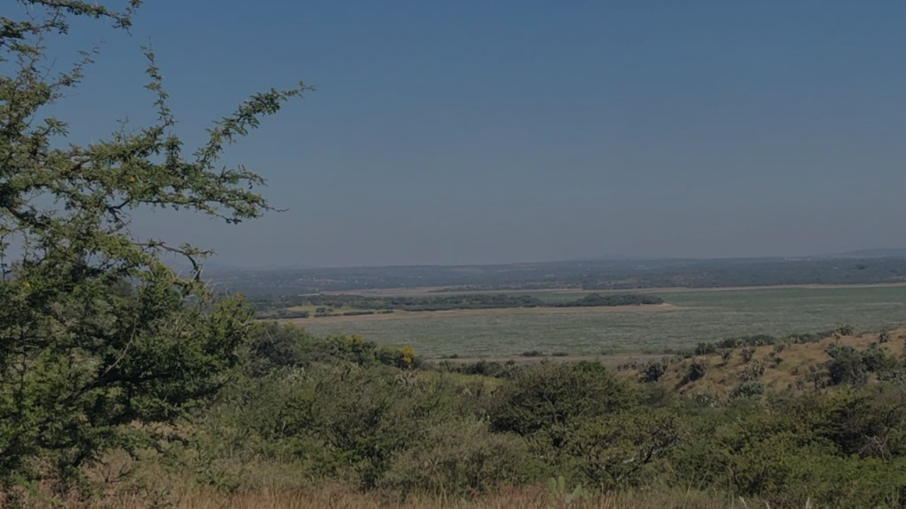 La Presa View Lot photo 2